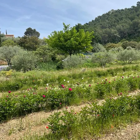 Hebergement A La Campagne Evenos Esterno foto