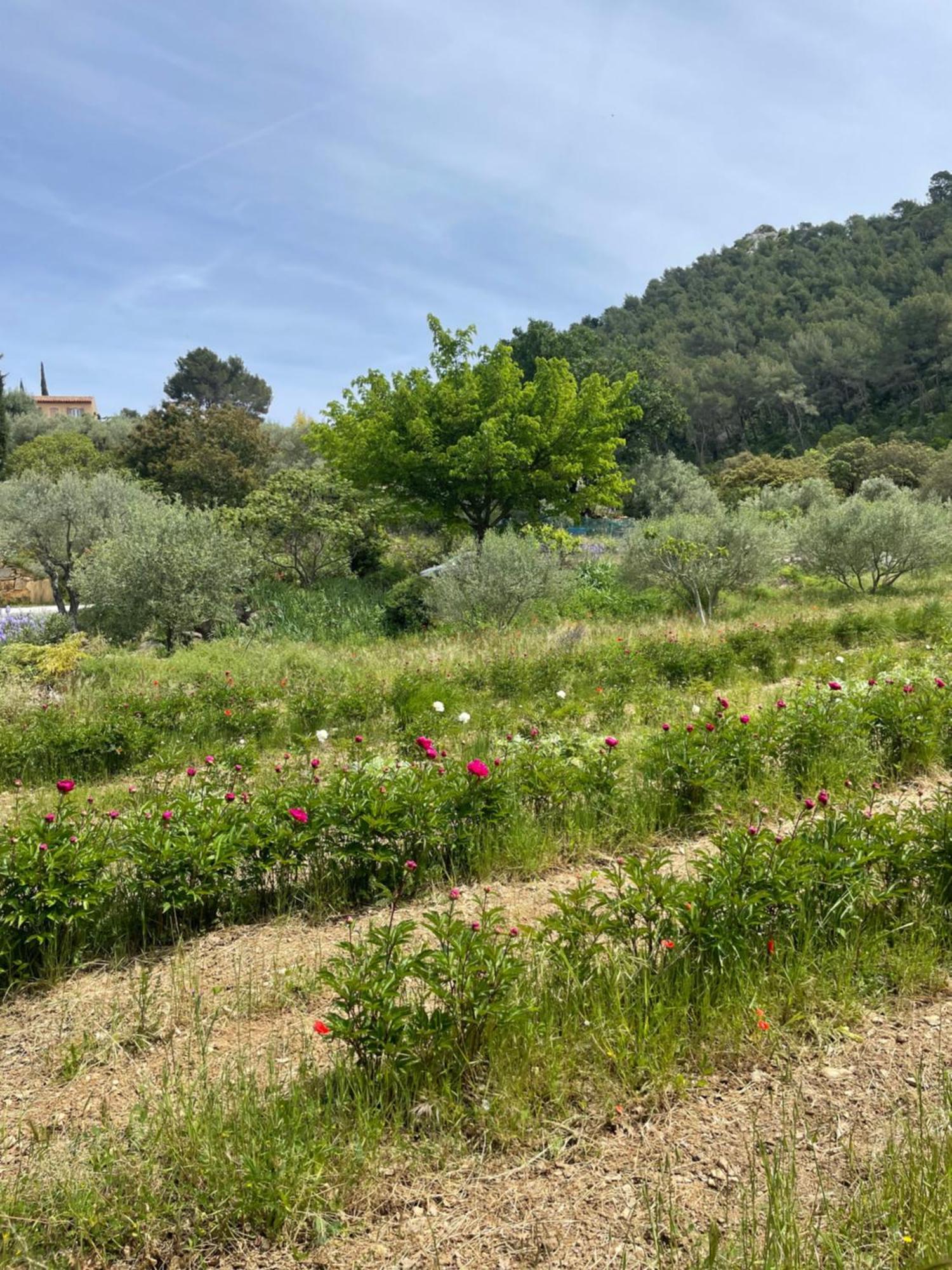 Apartment A La Campagne